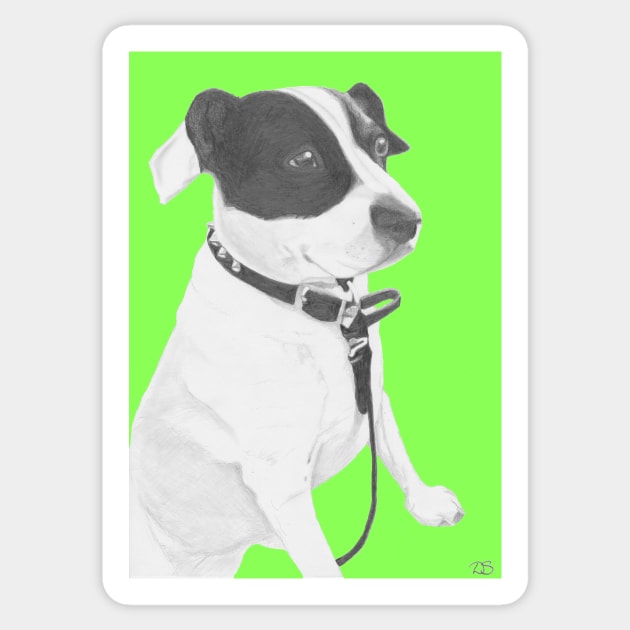 Jack Russell Crossbreed in green Sticker by DavidASmith